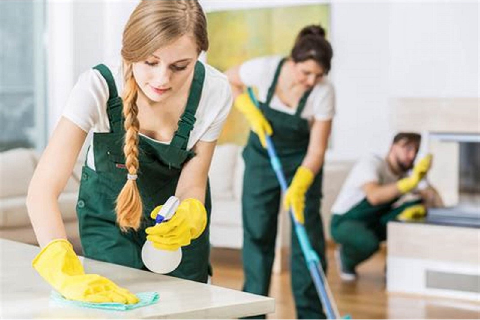 Cleaner